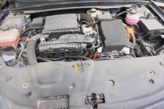 2024 BYD Qin Plus 2024 Glory 1.5L AT DM-i 55KMLeading #10