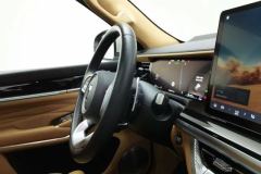 2023 Tank 500 PHEV 2023 2.0T AT Hi4-T #23
