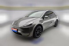 2021 Tesla Model Y 2021StandardBattery lifeRWDEdition #1