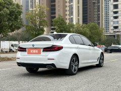 2021 BMW 5 Series 2021 2.0T AT 530LiLeadingLuxury Pkg #10