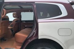 2022 Tank 500 2022 3.0T AT high-endCustom 5Seat #19