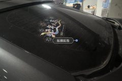 Rear Windshield