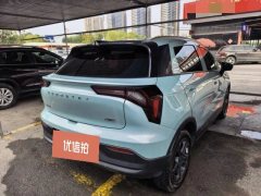 2022 Geometry E Firefly 2022 320KM Well behaved tiger 4Seat #8