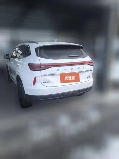 2022 Haval H6 2021 2.0T AT No.3generation4WDMax #7
