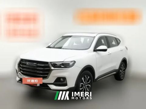 2022 Haval H6 2021 1.5T AT China tideUrbanEdition