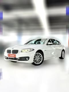 2015 BMW 5 Series 2014 2.0T AT 528LiLeading #1