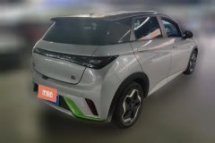 2022 BYD Dolphin 2021 405km Fashion #3