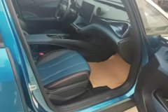 2022 BYD Dolphin 2021 401km knightEdition #8