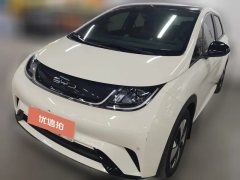 2023 BYD Dolphin 2024 Glory 302km vitalityEdition #1