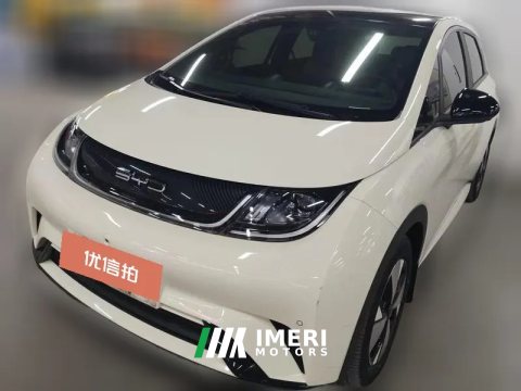 2023 BYD Dolphin 2024 Glory 302km vitalityEdition
