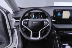 2023 Haval H6 2021 2.0T AT No.3generation2WDMax #15