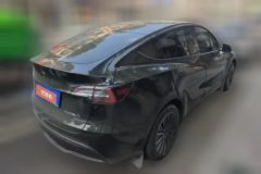 2021 Tesla Model Y 2021StandardBattery lifeRWDEdition #3