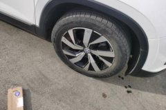 2022 Volkswagen Tayron 2021 2.0T AT 330TSI 2WD3AnniversaryLimited #6