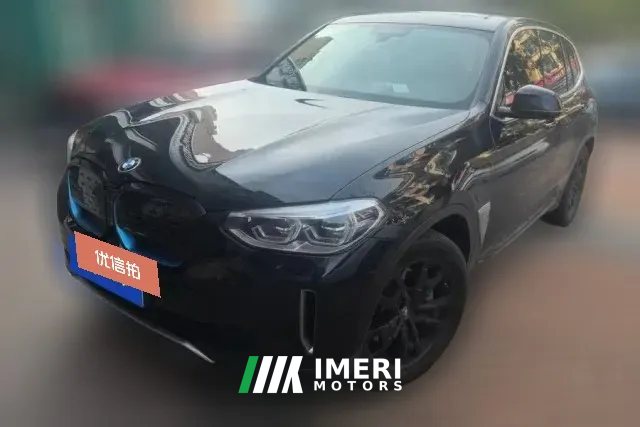 2021 BMW iX3 2021 Leading