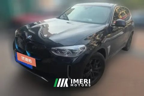 2021 BMW iX3 2021 Leading