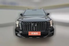 2025 GAC Trumpchi Trumpchi GS8 2025 PilotSeries 2.0TGDI AT 2WDLuxury 5Seat #2
