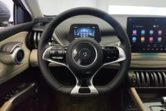 2025 BYD Yuan Plus 2024 Glory 430KM Leading #15