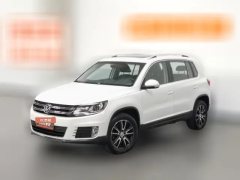 2015 Volkswagen Tiguan 2013 1.8T AT Luxury 4WD #1