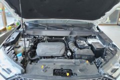 2023 Haval H6 2022 No.3generation 1.5T AT 2WDMax #10