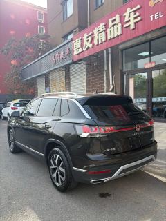 2023 Volkswagen Tayron 2023 1.4T AT 280TSI 2WDLuxuryPlusAdvancedEdition #6