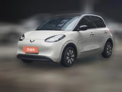 2024 Wuling Motors Wuling Bingo 2023 333KM LingxiConnected+ #1