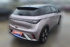 2024 BYD Dolphin 2025 520km knightEdition #3