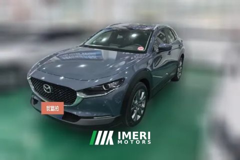 2022 Mazda CX-30 2021 2.0L AT Yayue