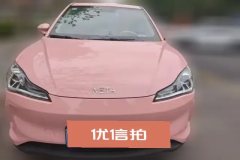 2022 Neta V 2022 AT tide 400 Lite Pink customization #2