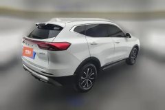2023 Haval H6 2023 China tideEdition 1.5T ATUrbanEdition #3