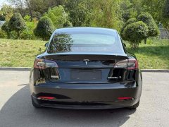 2020 Tesla Model 3 2020 StandardBattery lifeRWDUpgradeEdition #8