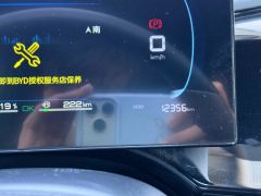 2025 BYD Qin Plus 2024 Glory 1.5L AT DM-i 55KMLeading #16