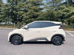 2025 BYD Seagull 2025 Smart Drive 305km freeEdition #5