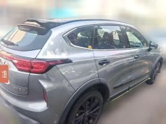 2021 Haval Chitu 2021 1.5T AT ProvokingEdition Platinumrabbit #6