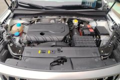 2022 GAC Trumpchi Trumpchi GS4 Plus 2021 1.5T AT 270T starsEdition #10