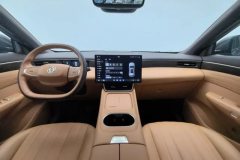 2025 Dongfeng Fengshen Dongfeng Fengshen L8 2025 185KMdreamEdition #14