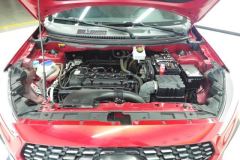 2021 Chery Tiggo 3x 2021 PLUS 1.5L AT CVTHappy red datesEditionII #10