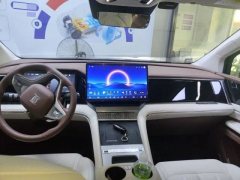 2025 BYD Xia 2025 DM-i 1.5T AT 100km Surpass #4
