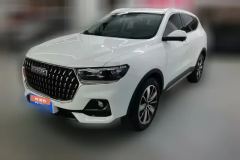 2025 Haval H6 2023 China tideEdition 1.5T AT Champion #1