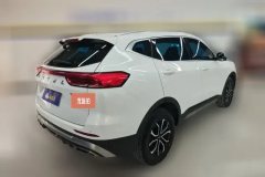 2023 Haval H6 2023 China tideEdition 1.5T ATUrbanEdition #3