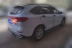 2023 Haval M6 2023 PLUS 1.5T AT DCTLuxurySmart Connect #3