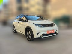 2024 BYD Dolphin 2023 420km freeEdition #4