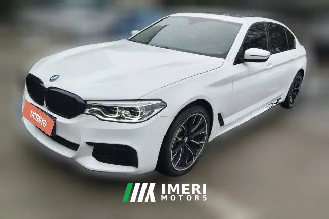 2020 BMW 5 Series 2020 2.0T AT 530LiLeadingLuxury Pkg