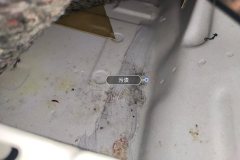 Left Rear Carpet