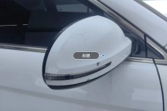 Right Exterior Mirror