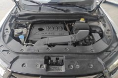 2022 Haval H6 2021 1.5T AT China tideChampion #10