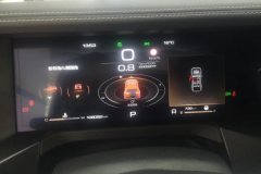 2023 Tank 300 2023 Off-road 2.0T AT challenger #14