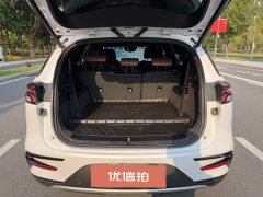 2022 BYD Tang PHEV 2021 1.5T AT DM-i 112KM Honor #9
