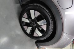 2022 BYD Dolphin 2021 401km knightEdition #6