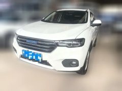 2017 Haval H2s 2017 1.5T AT Blue LabelLuxury #1