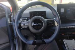 2024 BYD Seagull 2024 Glory 305KM freeEdition #15